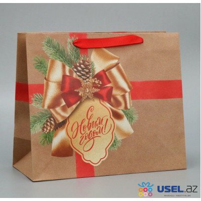 Package gift horizontal Gift in New Year, ML 